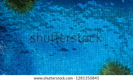 Top view or bird eye view images of swimming pool in summer season and sunny day which suitable for sport or relax on vacation time or chilling moment or workout for burn some calories in holiday.