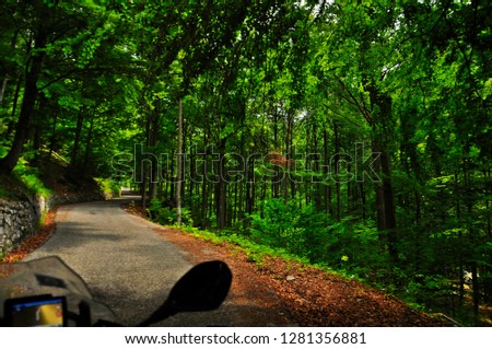 Riding a motorcycle on scenic Slovenia mountain roads, green forest, summer time