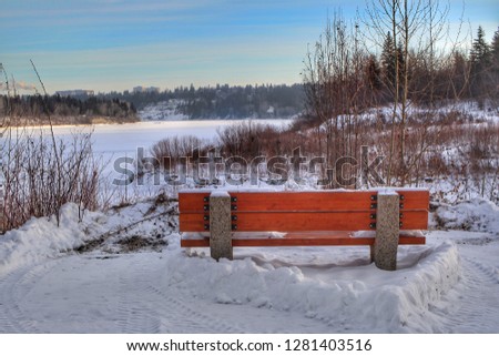 Scenic Winter Bench View