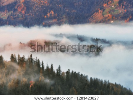 picturesque sunrise in the Carpathian mountains. autumn foggy morning
