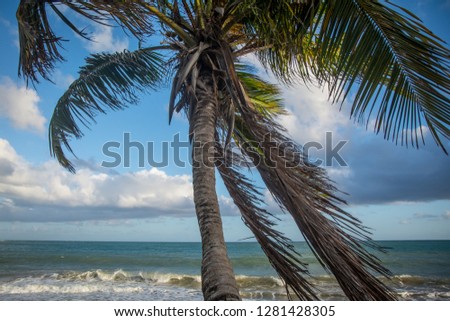 Playa El Cocal - Puerto Rico - USA