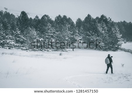 Photographer in the snowy forest in the mountains. Volcano Etna, Sicily. Winter, snowy day