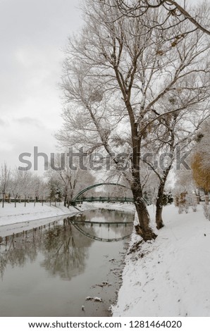 Winter landscape. Trees with snow  and reflection of bridge
