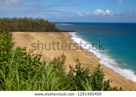 Beach in Kauai island, Hawaii, USA.