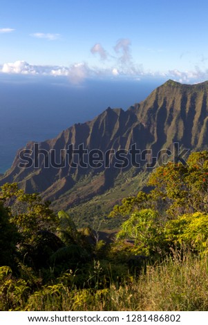 Kalalau Valley from the Pihea Trail, Koke'e State Park, Island of Kauai, Hawaii.