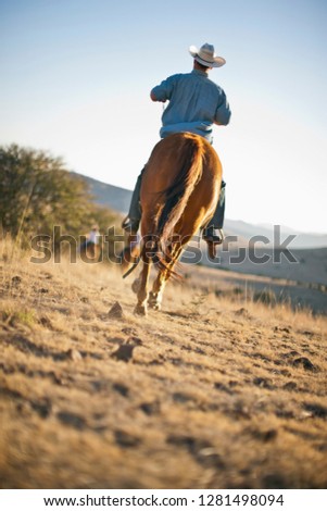 Mid adult man riding a horse.