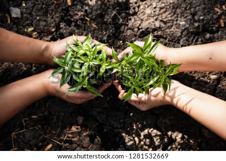 The human hand holding young plant together,protection and take care,environment ,Ecology concept
