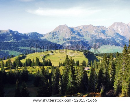 Evergreen trees on the plateau beneath the mountain ranges Churfirsten - Canton of St. Gallen, Switzerland