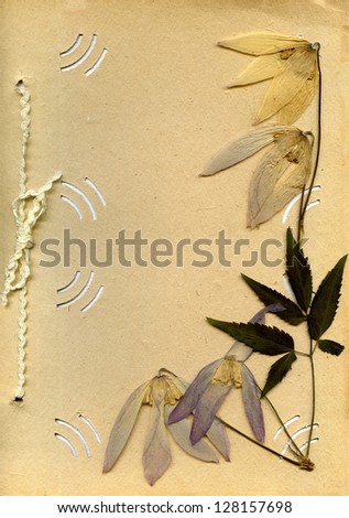 dried flowers on old-time paper as background for text