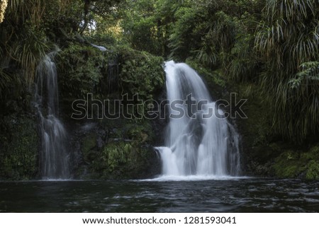 Otanewainuku Falls in the north island of New Zealand