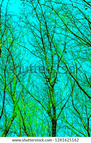 Abstraction, dry tree twigs with blue sky space in vintage color style.