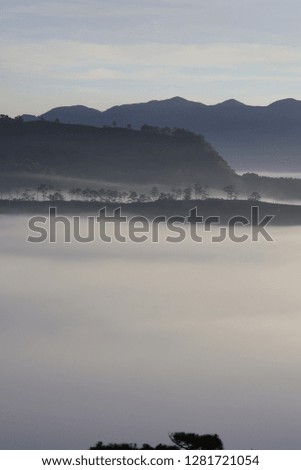 Background with fresh air, magic light and dense fog cover forest in the plateau at dawn. Beautiful original photo used for tourism advertising, design, printing, newspapers and more