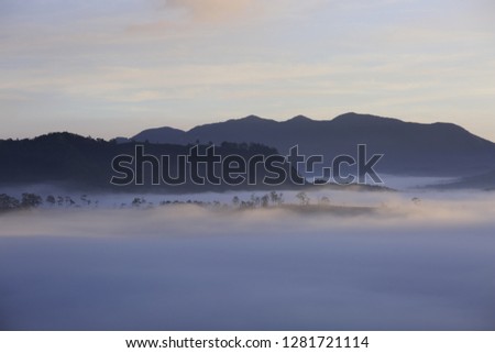 Background with fresh air, magic light and dense fog cover forest in the plateau at dawn. Beautiful original photo used for tourism advertising, design, printing, newspapers and more