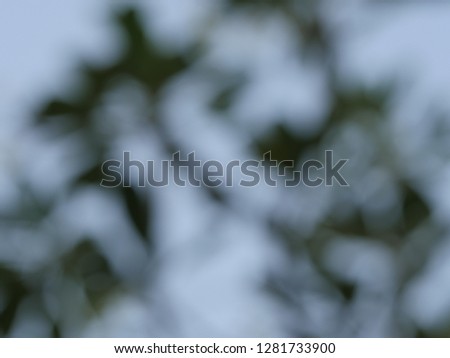 Nature abstract blurred tree branch with leaves texture background
