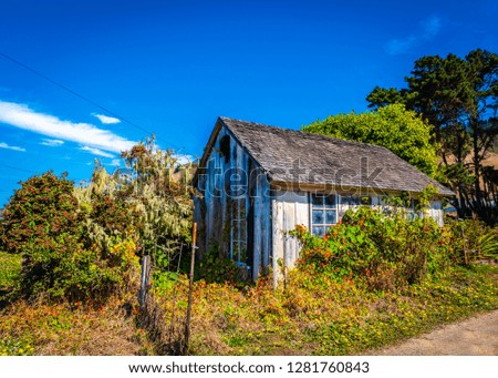Beautiful scenery of an abandoned house, overgrown flowers and weeds on way to Point Arena on the california coast off the 101 Freeway.