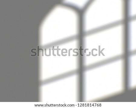Organic drop shadow on a wall, overlay effect for photo, mock-ups, posters, stationary, wall art, design presentation Royalty-Free Stock Photo #1281814768