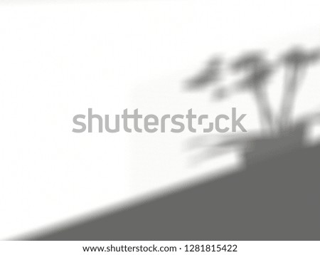 Organic drop shadow on a wall, overlay effect for photo, mock-ups, posters, stationary, wall art, design presentation