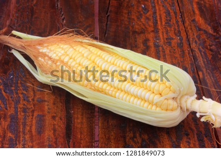 raw and fresh corn on the cob isolated on rustic wooden table. Copy Space. Close-up