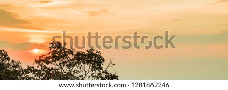 Golden morning sky and sun view with top of tree on lower left corner. Long panorama dimension picture frame for web banner. Natural peaceful background.