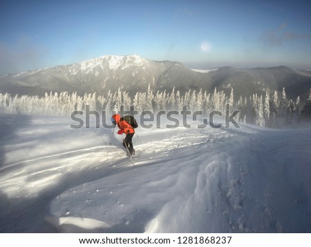 In a strong frosty wind and snowfall, a group of young climbers makes a sports training out to Homyak Mountain in the Carpathians against the backdrop of a wild forest, Ukraine
