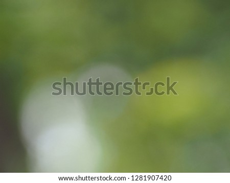 Blurred background, green bokeh background in nature,selection focus