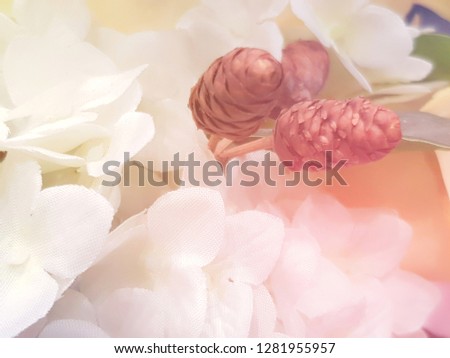 Blurred white flowers and oak for background