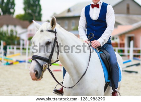 Stylish man in a suit on a white horse. Prince on a white horse
