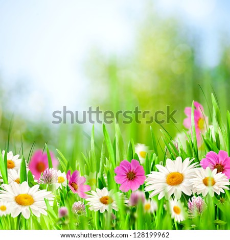 Beauty meadow. Abstract natural backgrounds for your design Royalty-Free Stock Photo #128199962