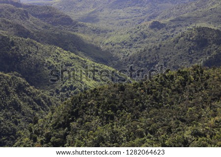 Lots of mountains covered with forest