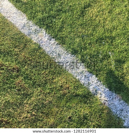close up of white chalk line on green football soccer sport grass field in summer