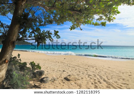 A beautiful beach view with tree around.