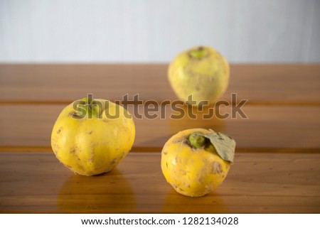 Membrillo or Quince Tree yellow fruit