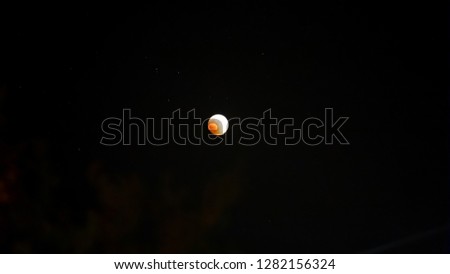 yellow golden orange full moon in the background of the black night dark sky