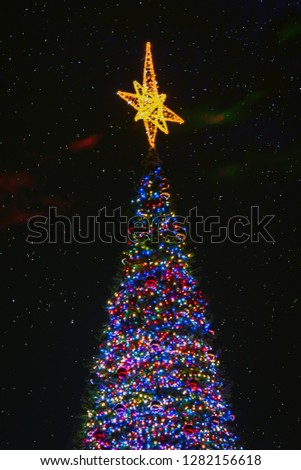 View of the Christmas tree on starry sky background