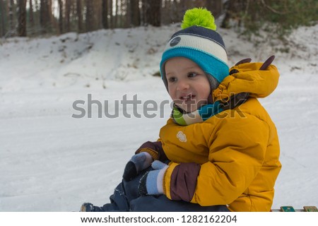 Active kid sledding in winter park in snowy weather during winter holidays. Little boy enjoying a sleigh ride. Childhood, sledging and season concept