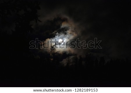 Beautiful night sky with many stars and full moon behind partial cloudy above silhouettes of trees. Serenity nature background. 