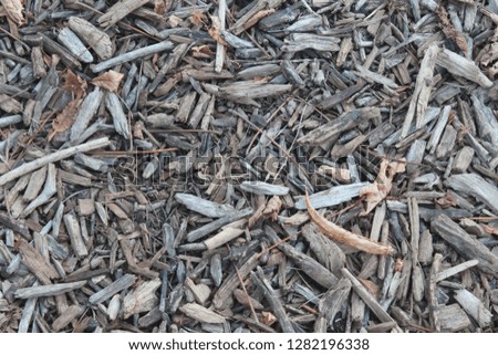 Floor with bed of pieces of wood and dry leaves.