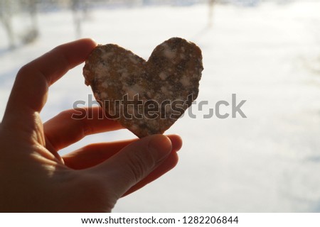 Сlose-up handmade cookie heart in the female hand on the white snow background.