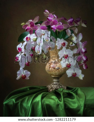 Still life with bouquet of orchid flowers
