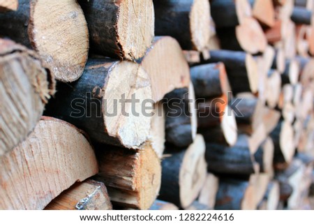 Thick and thin stacked tree trunks with clearly visible annual rings in perspective. Cross section view of cutting. 
