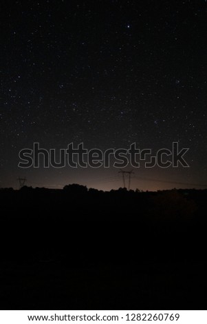 Silhouette of the Atlantic Forest under the constellations