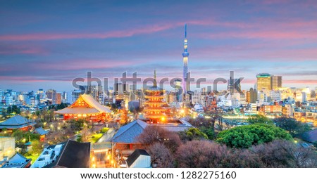 View of Tokyo skyline at twilight in Japan.
