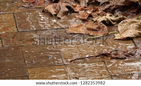 Close up of rain falling on walkway pavers and brown fall leaves in a garden                                