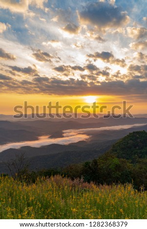 beautiful scenary in the north part of Thailand over the valley of mountain at sun rising giving a beautiful color on the mist