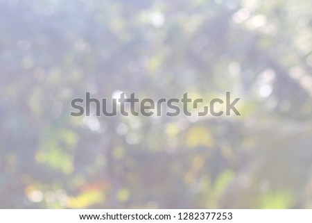 Beautiful Nature blur background images