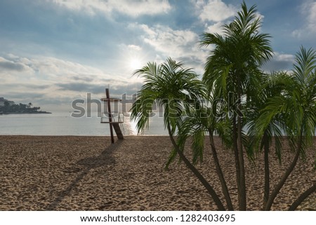 Palm trees with a beach and the sea in the background, Spain