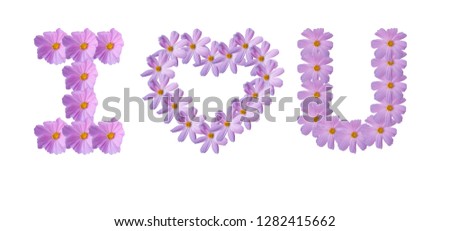 Message of I Love You by Pink Beautiful Sulfur Cosmos Flower isolated on white background.