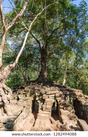 Spean Thma "The bridge of stone" in Angkor, Cambodia 