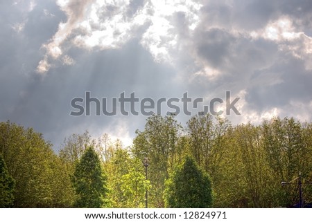 dramatic sky on urban park trees, hdr picture