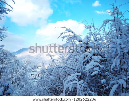 Beautiful winter picture